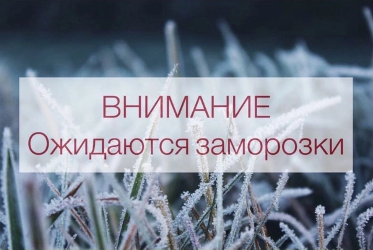 От Новгородского центра по гидрометеорологии и мониторингу окружающей среды получено предупреждение об опасном явлении:.