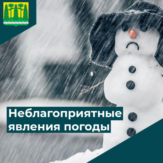 Предупреждение о неблагоприятном погодном явлении от 21.11.2024 г..