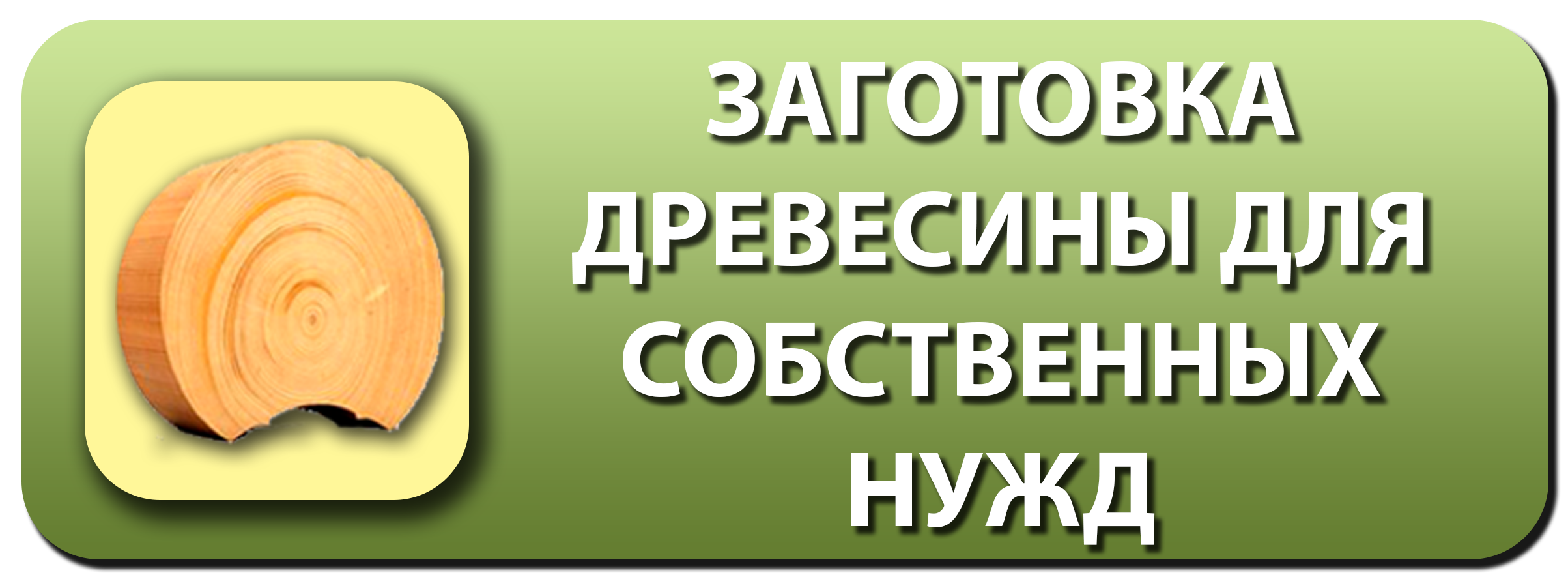 ГОКУ «Хвойнинское лесничество» информирует жителей округа.