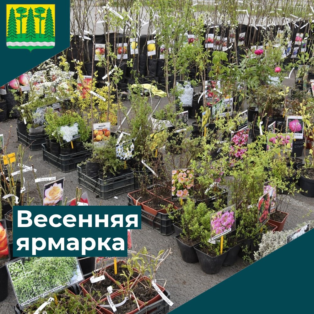 Ярмарка.
