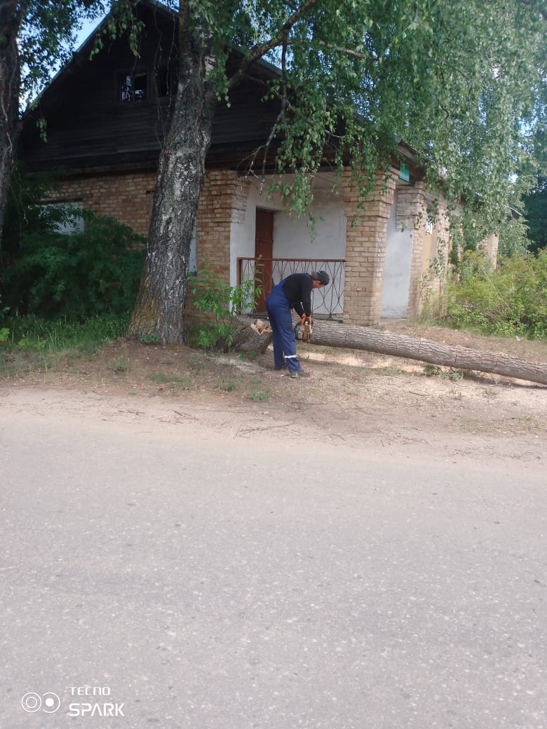 Cпил аварийных деревьев.