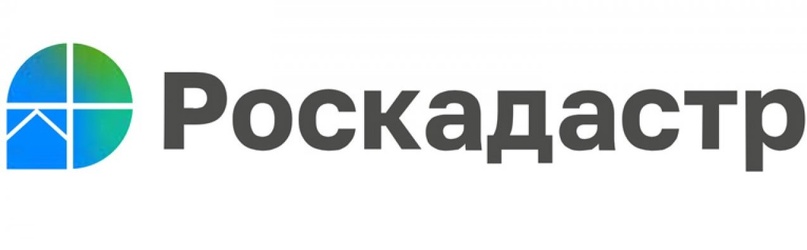 В ЕГРН внесены сведения о границах всех лесничеств Новгородской области.