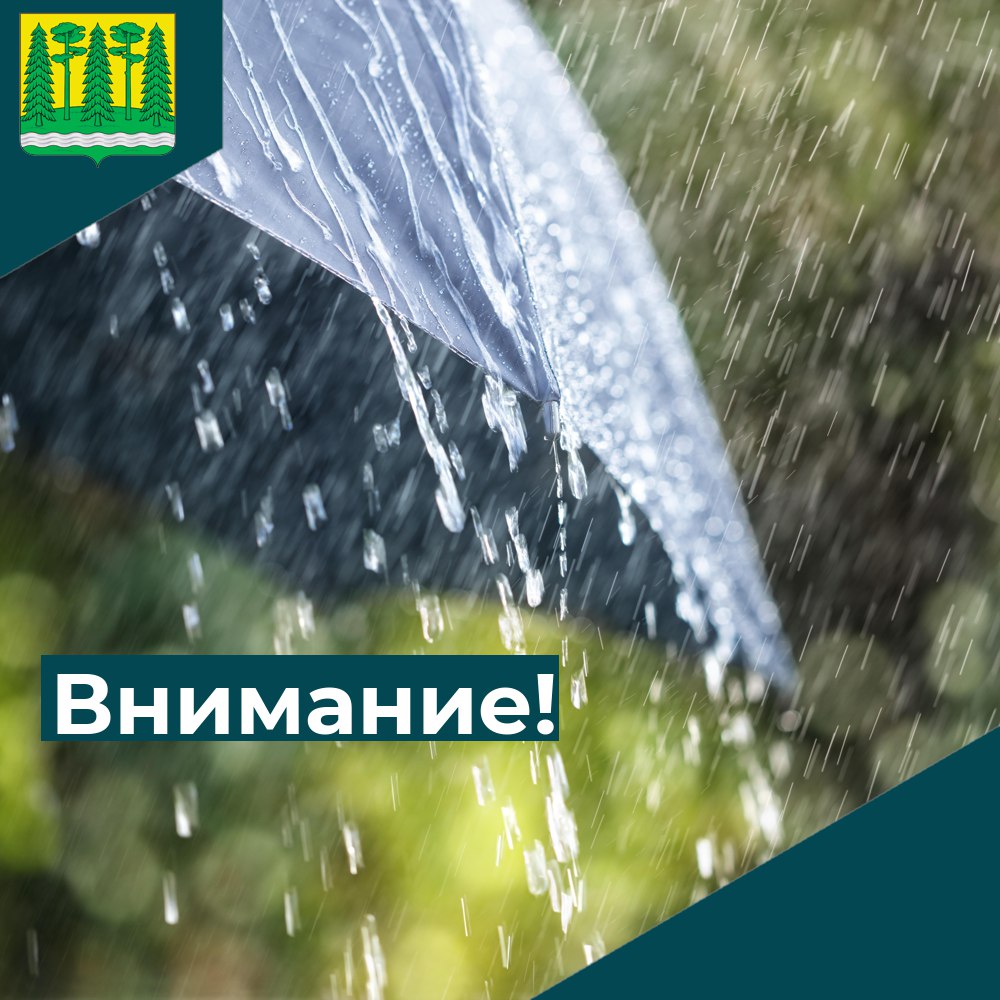 По информации, полученной от Новгородского центра по гидрометеорологии и мониторингу окружающей среды:.