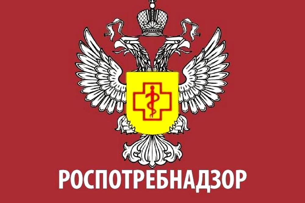 Как не стать жертвой мошенников при покупке товаров и заказе услуг в Интернете?.