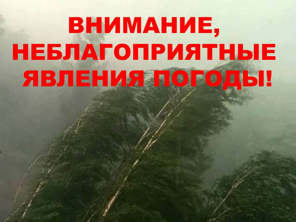 Предупреждение о неблагоприятном погодном явлении на 29.06.2023.