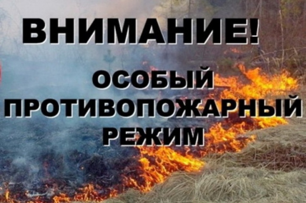 Уважаемые жители и гости Хвойнинского муниципального округа!.