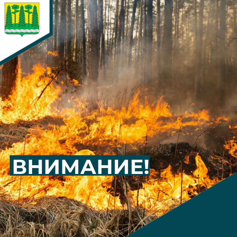 Предупреждение о неблагоприятном погодном явлении от 28.05.2025:.