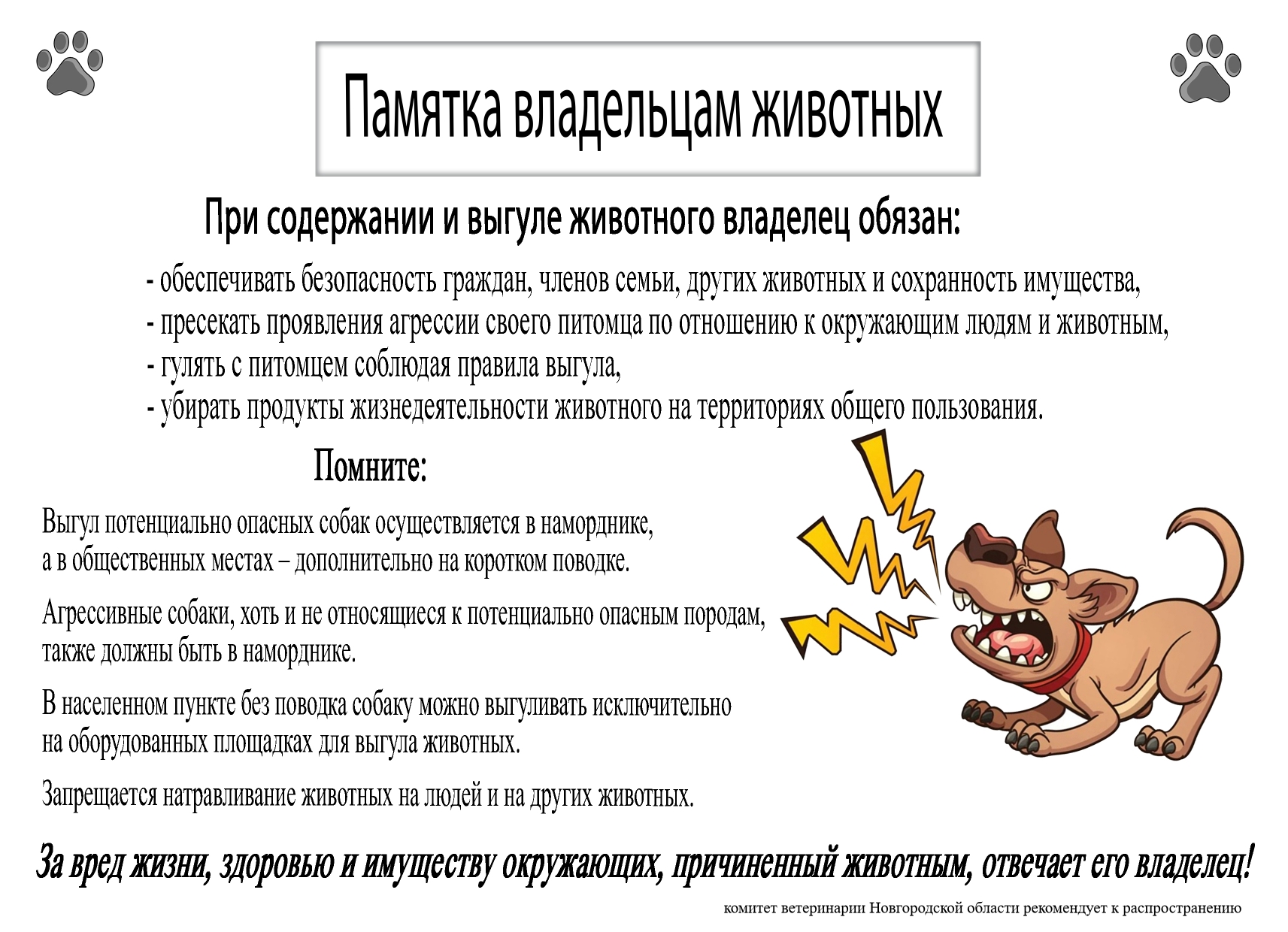 📣Памятка владельцам животных от комитета ветеринарии Новгородской области!.