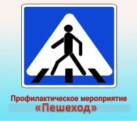 С 16 по 20 января 2023 года на территории Новгородской области проводится профилактическое мероприятие «Пешеход»..