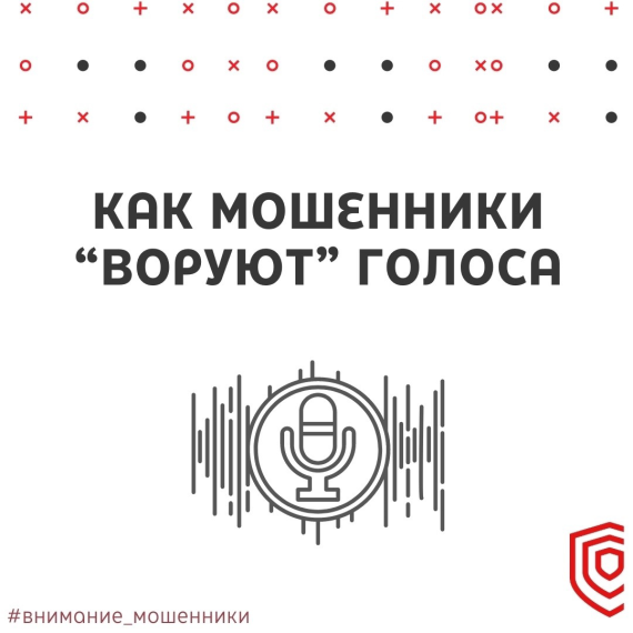 Познавательная рубрика от Кибердружины НовГУ. Познавательная рубрика от Кибердружины НовГУ.