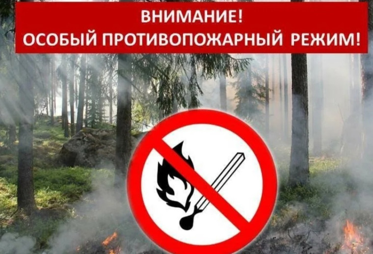 Особый противопожарный режим. Особый противопожарный режим.