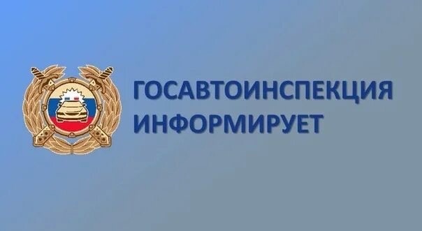 В Новгородской области стартует профилактическое мероприятие «Иностранный водитель». В Новгородской области стартует профилактическое мероприятие «Иностранный водитель».