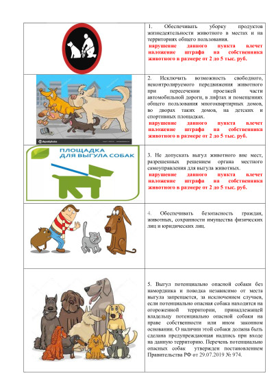 Вниманию владельцев домашних животных «А КАК ВЫГУЛИВАТЬ СОБАК?». Вниманию владельцев домашних животных «А КАК ВЫГУЛИВАТЬ СОБАК?».