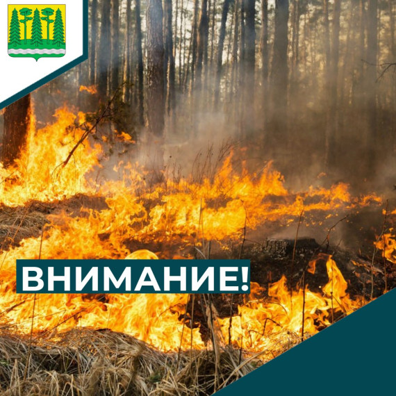 Предупреждение о неблагоприятном погодном явлении от 28.05.2025:. Предупреждение о неблагоприятном погодном явлении от 28.05.2025:.