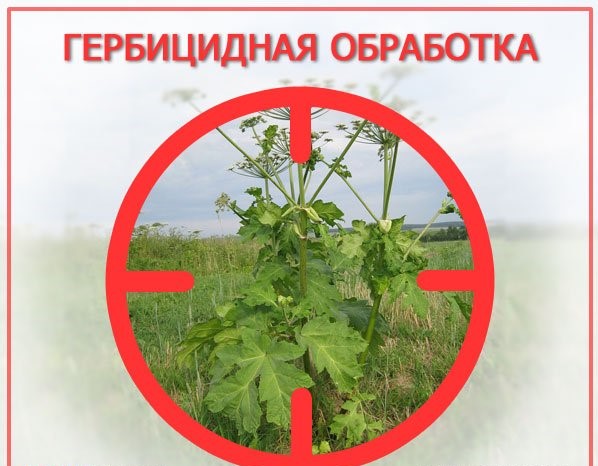 ВНИМАНИЕ НАСЕЛЕНИЯ!. ВНИМАНИЕ НАСЕЛЕНИЯ!.